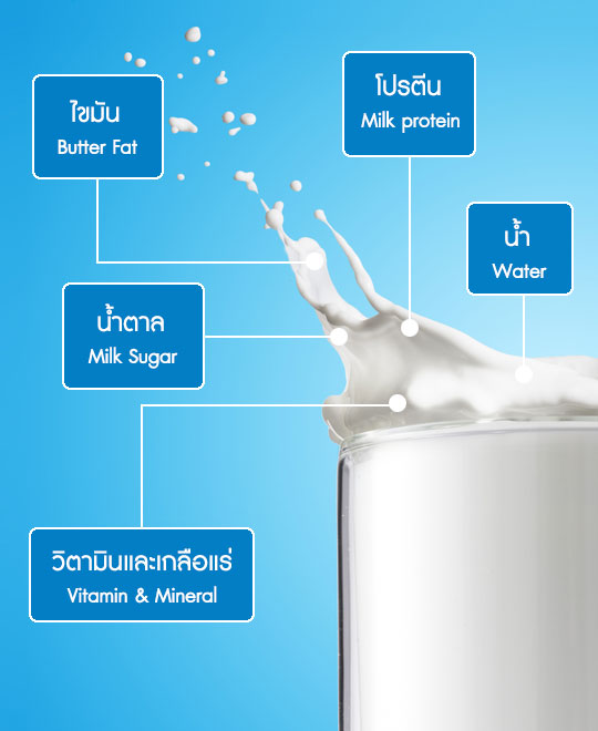 Milk ingredients