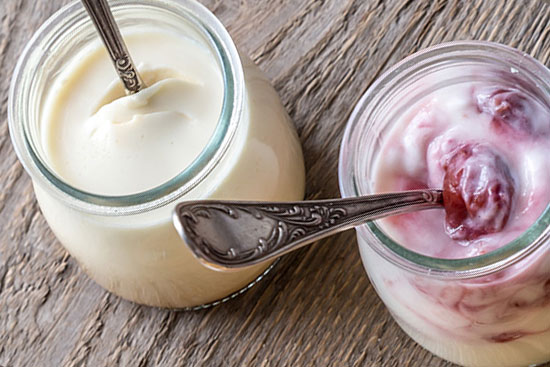Culture Milk / Yoghurt