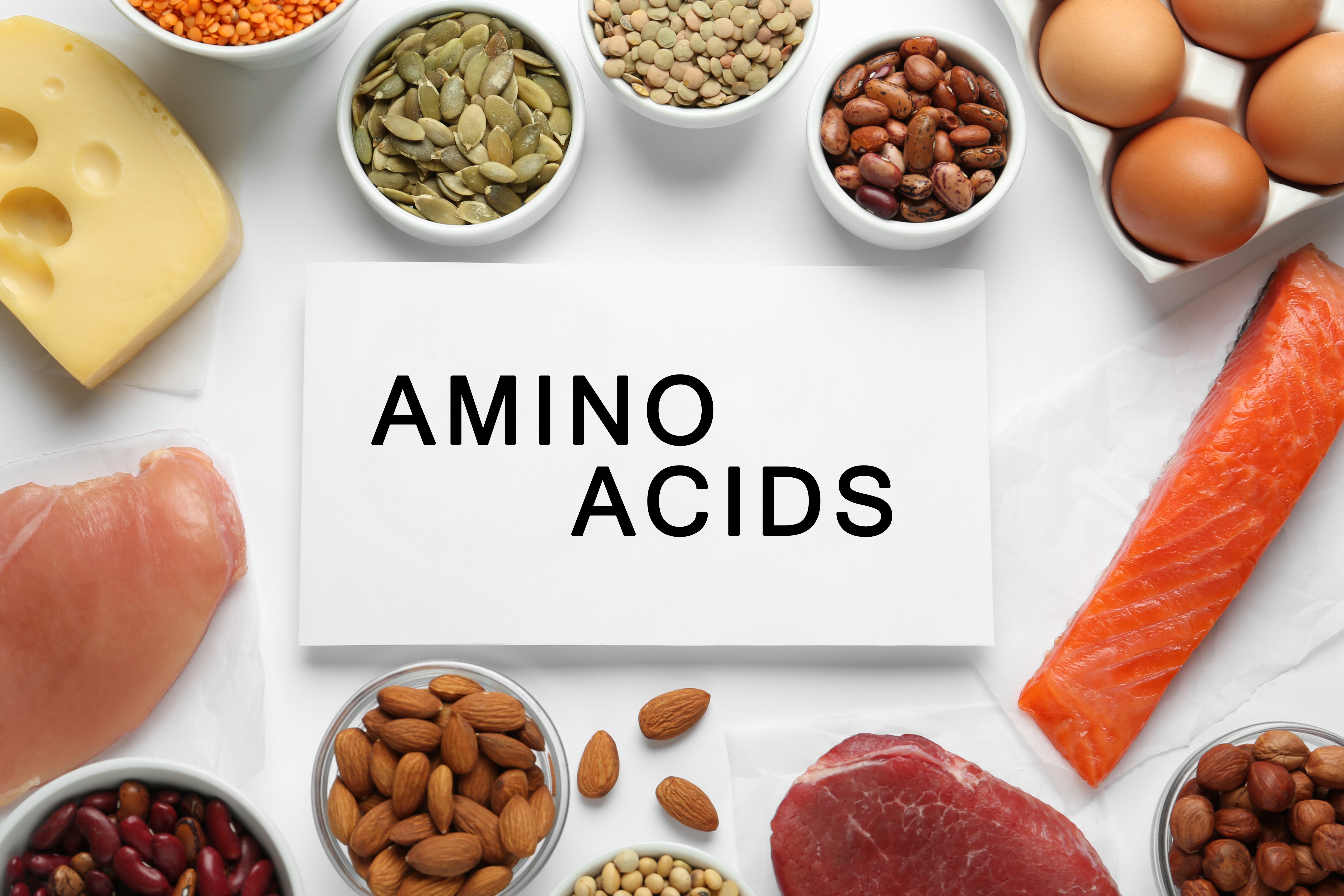 กรดอะมิโน (Amino acid)