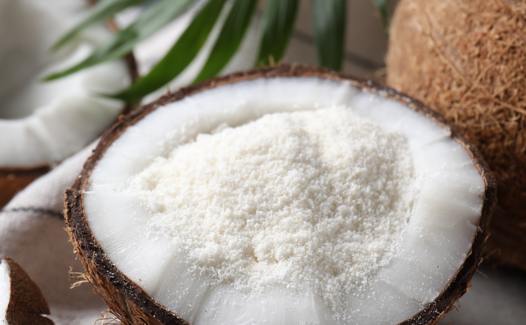 Image Product Group Coconut Product