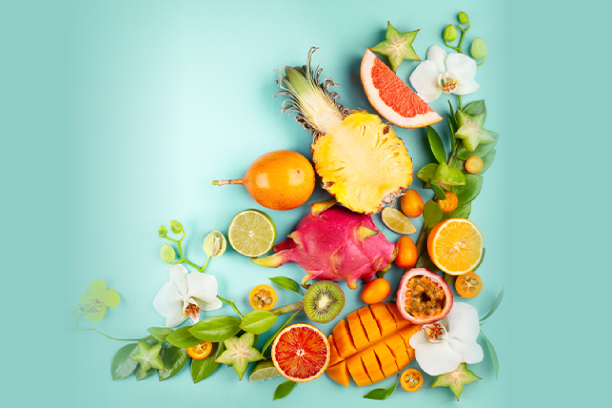 Image Product Group Fruits & Vegetables Powder